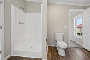  Photo 42