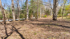  Photo 0
