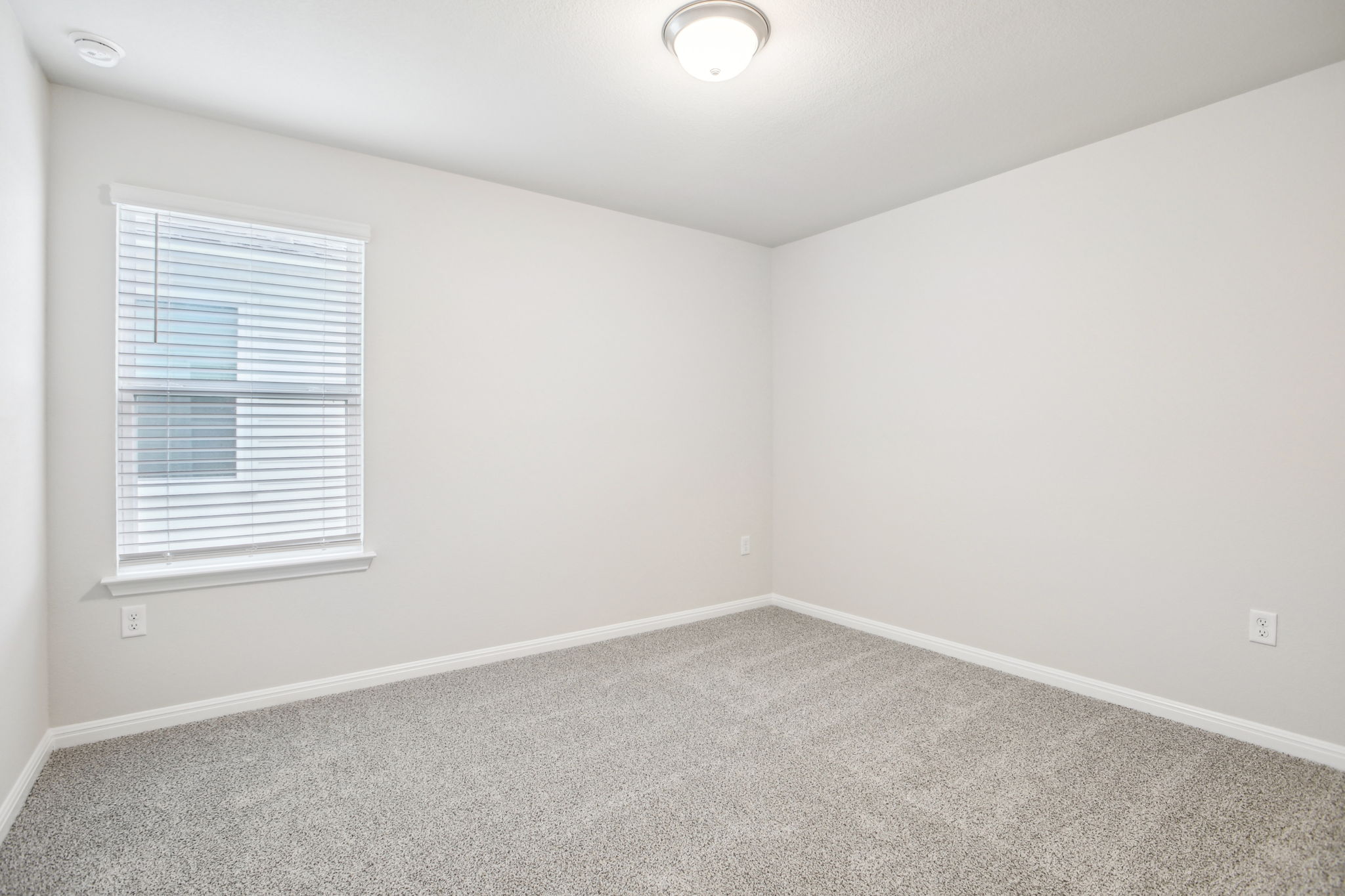 Austin- Flora - 367  Brandywine Rd, Hutto, TX 78634-032