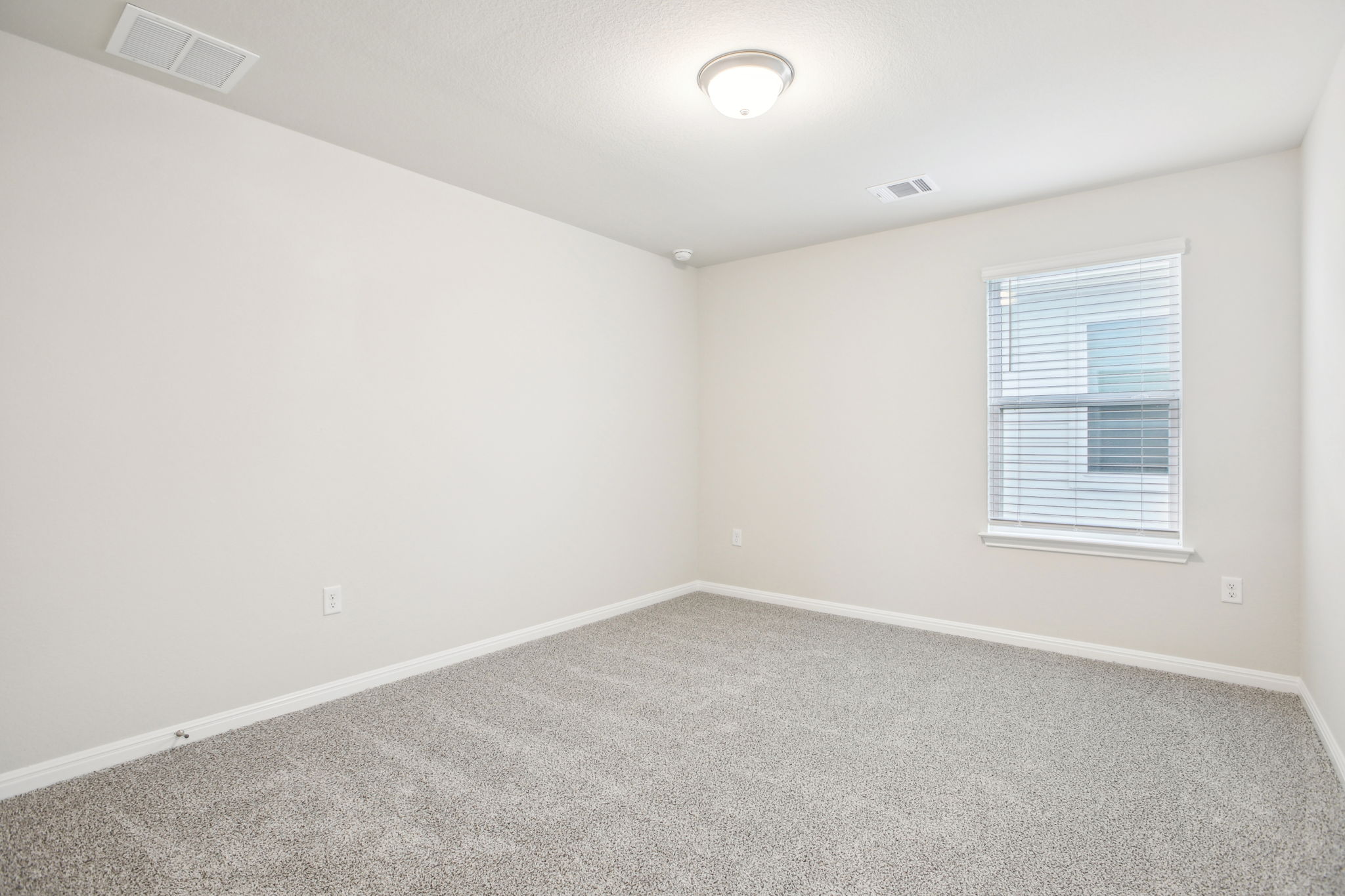 Austin- Flora - 367  Brandywine Rd, Hutto, TX 78634-034