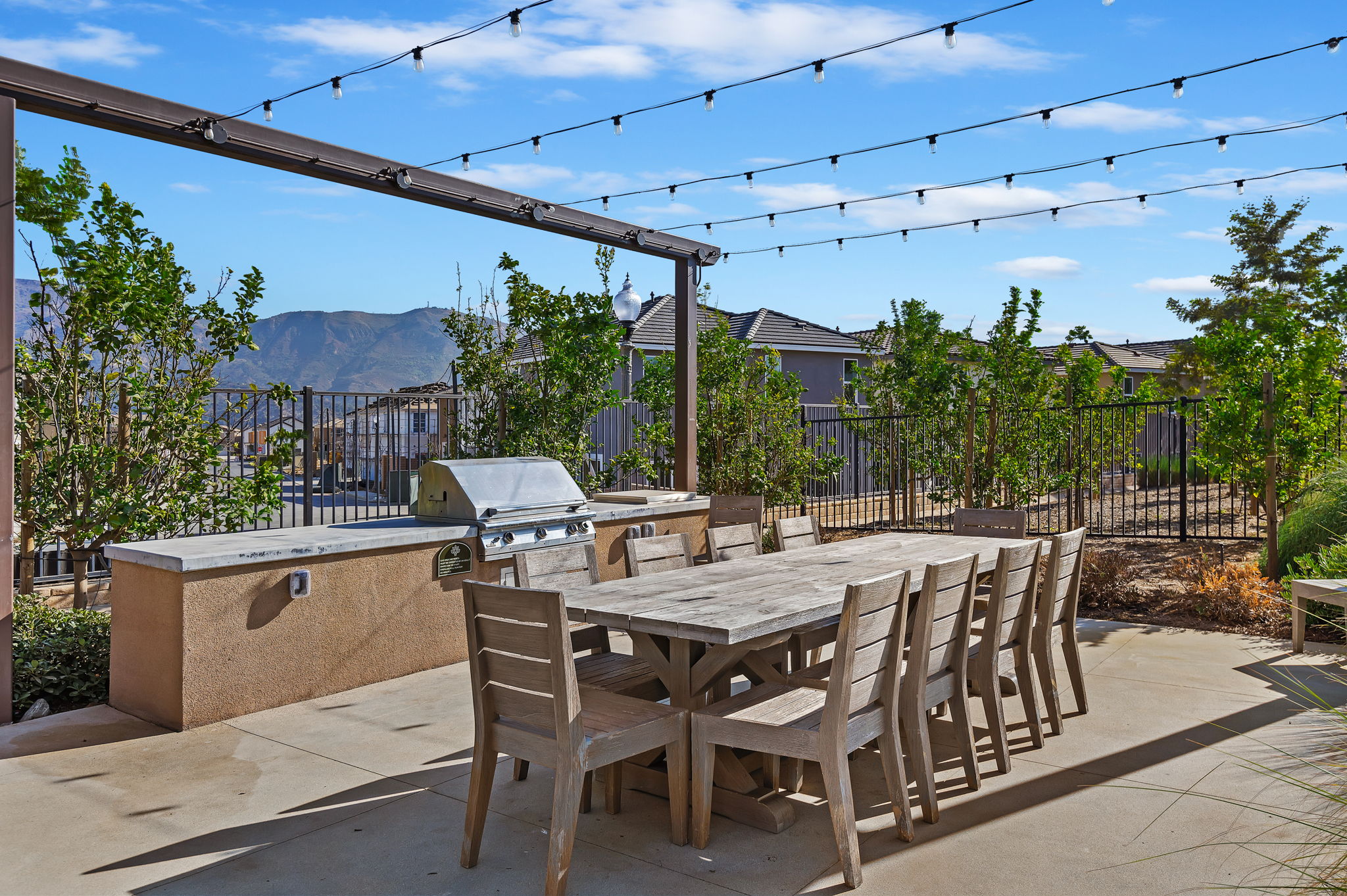 32-Harvest at Limoneira BBQ Area