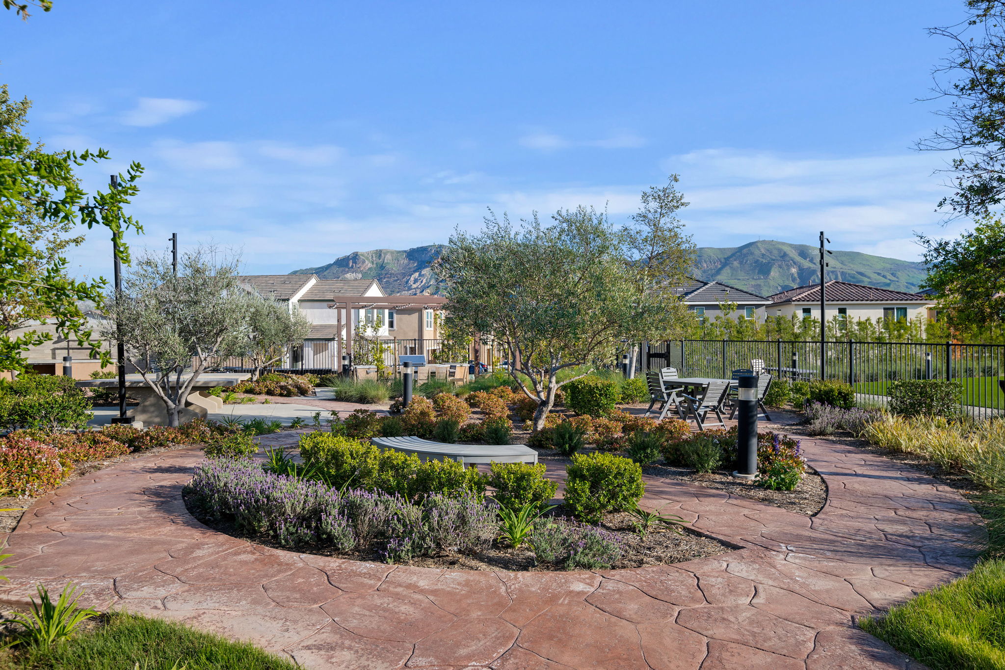 34-Harvest at Limoneira Picnic Area