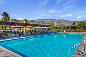 31-Harvest at Limoneira Swimming Pool