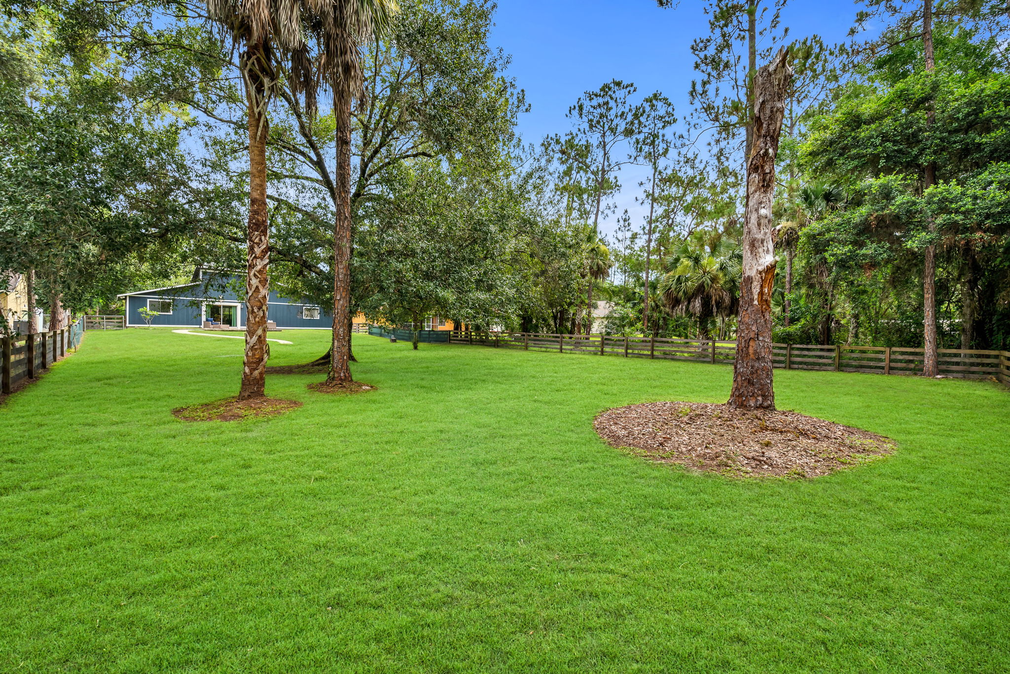 Yard View 2