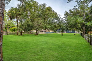 Yard Corner View