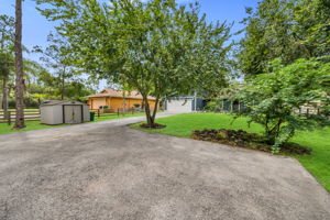 Drive Way