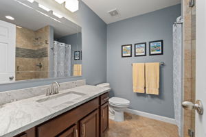 Basement Bath 1