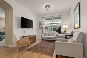 Living Room 1