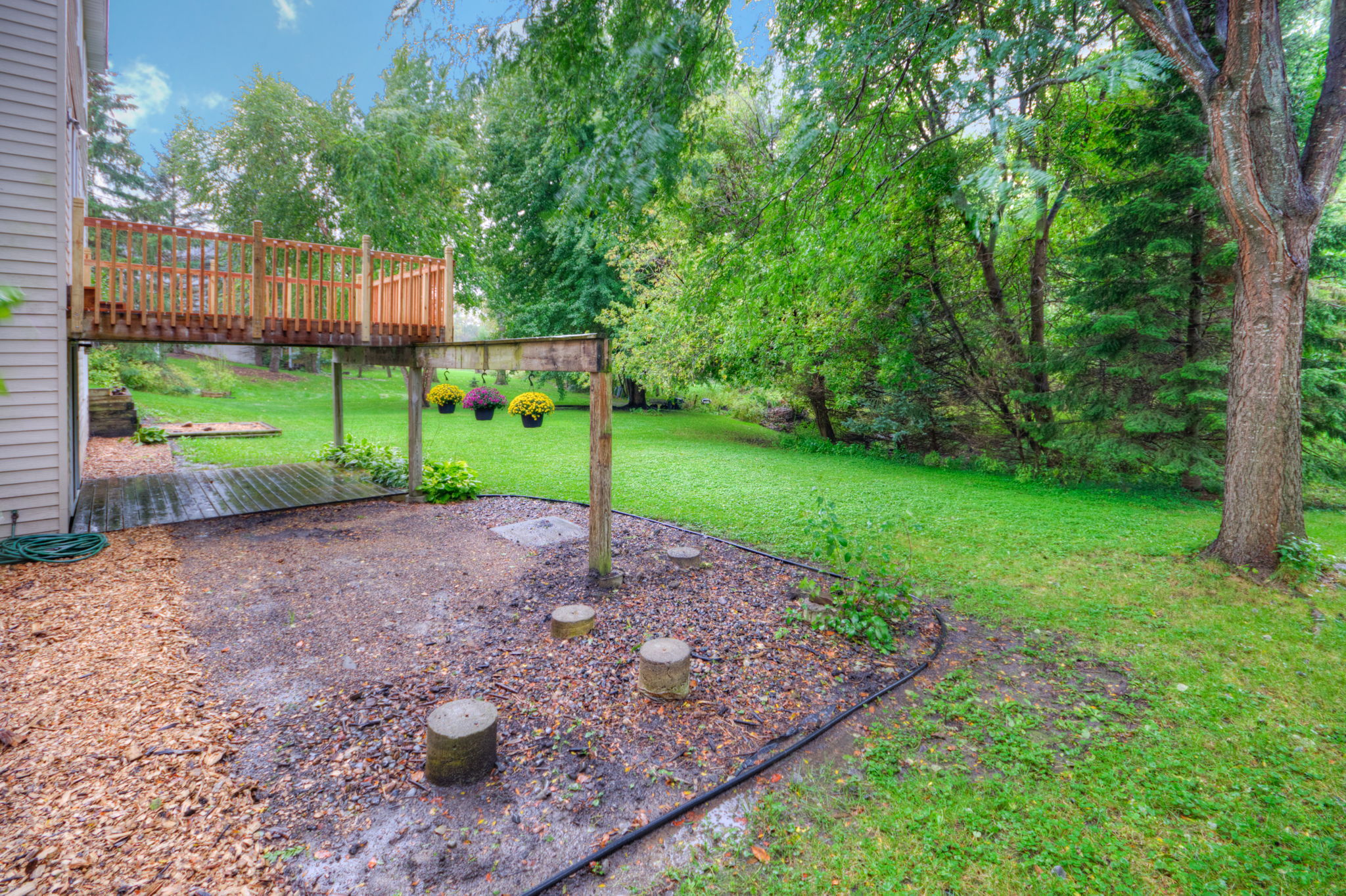 Backyard