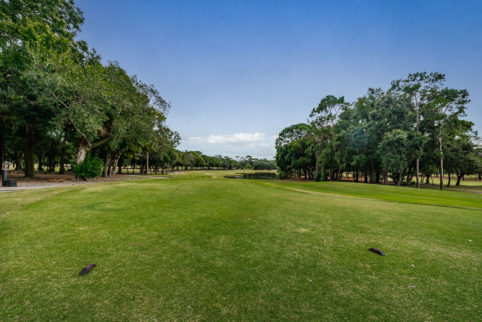Golf Course1