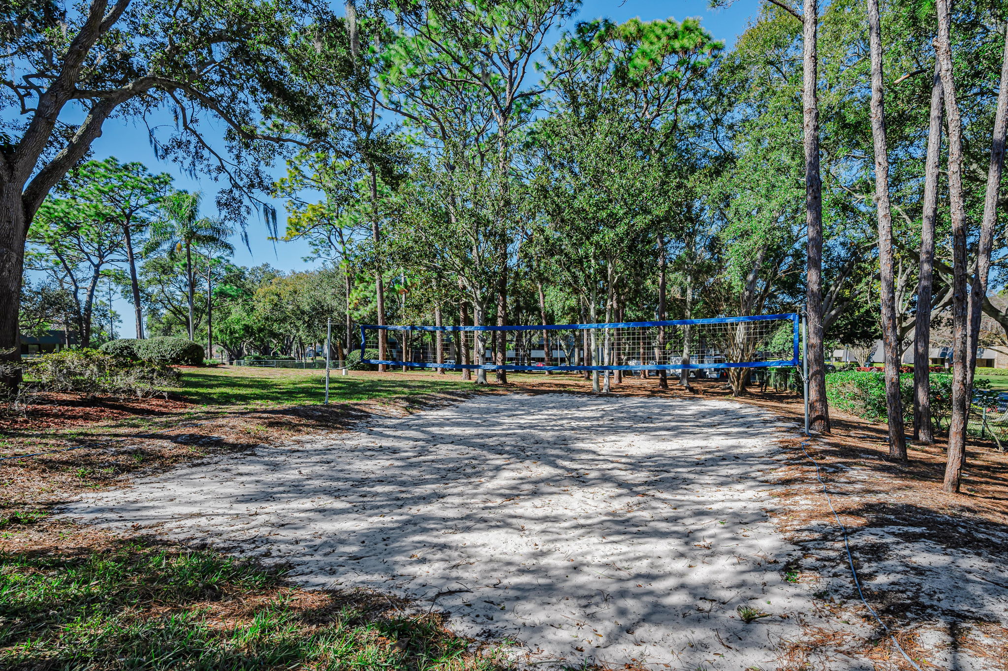Loch Ness Volleyball Court