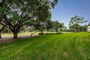 Backyard1-2
