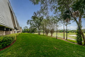 Backyard5