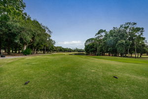 Golf Course1