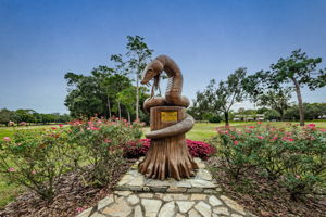 Golf Course2