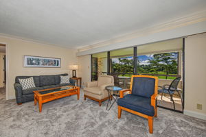 Living Room 1-e