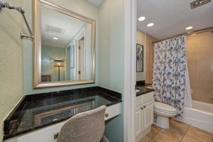 Primary Bathroom 1a