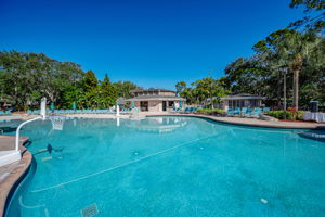 Loch Ness Pool14