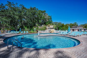 Loch Ness Pool19