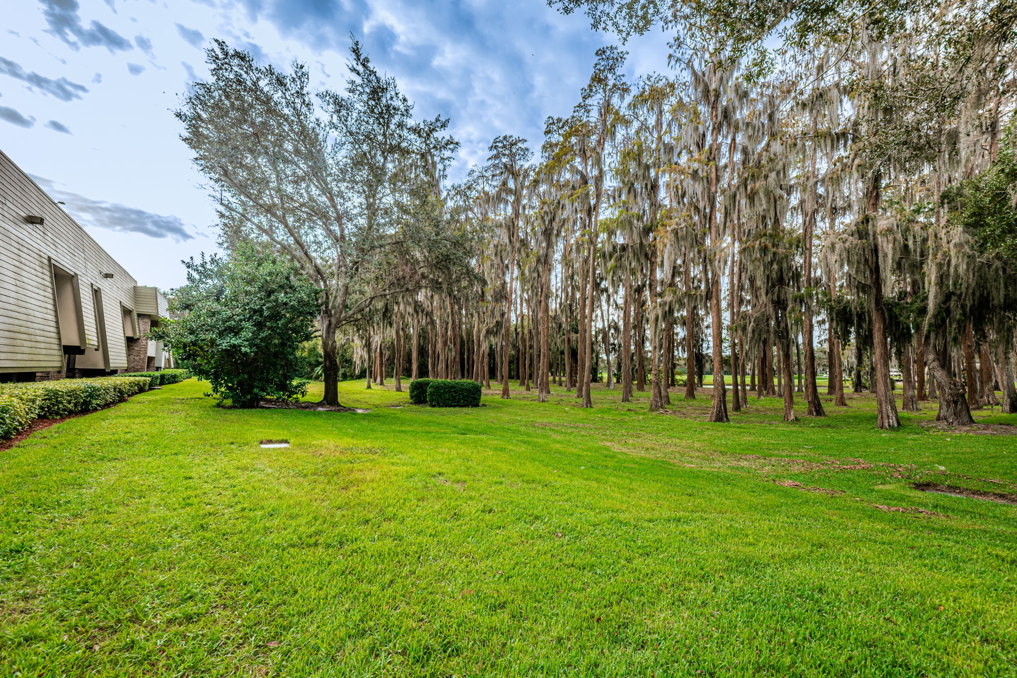 Backyard4-2