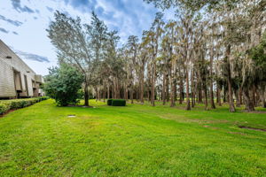 Backyard4-2