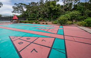 Shuffleboard2