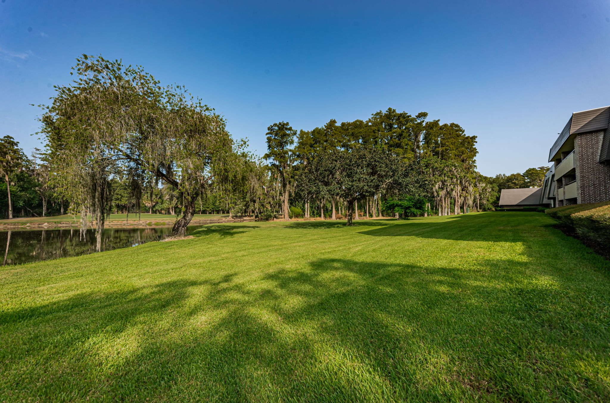 Backyard8