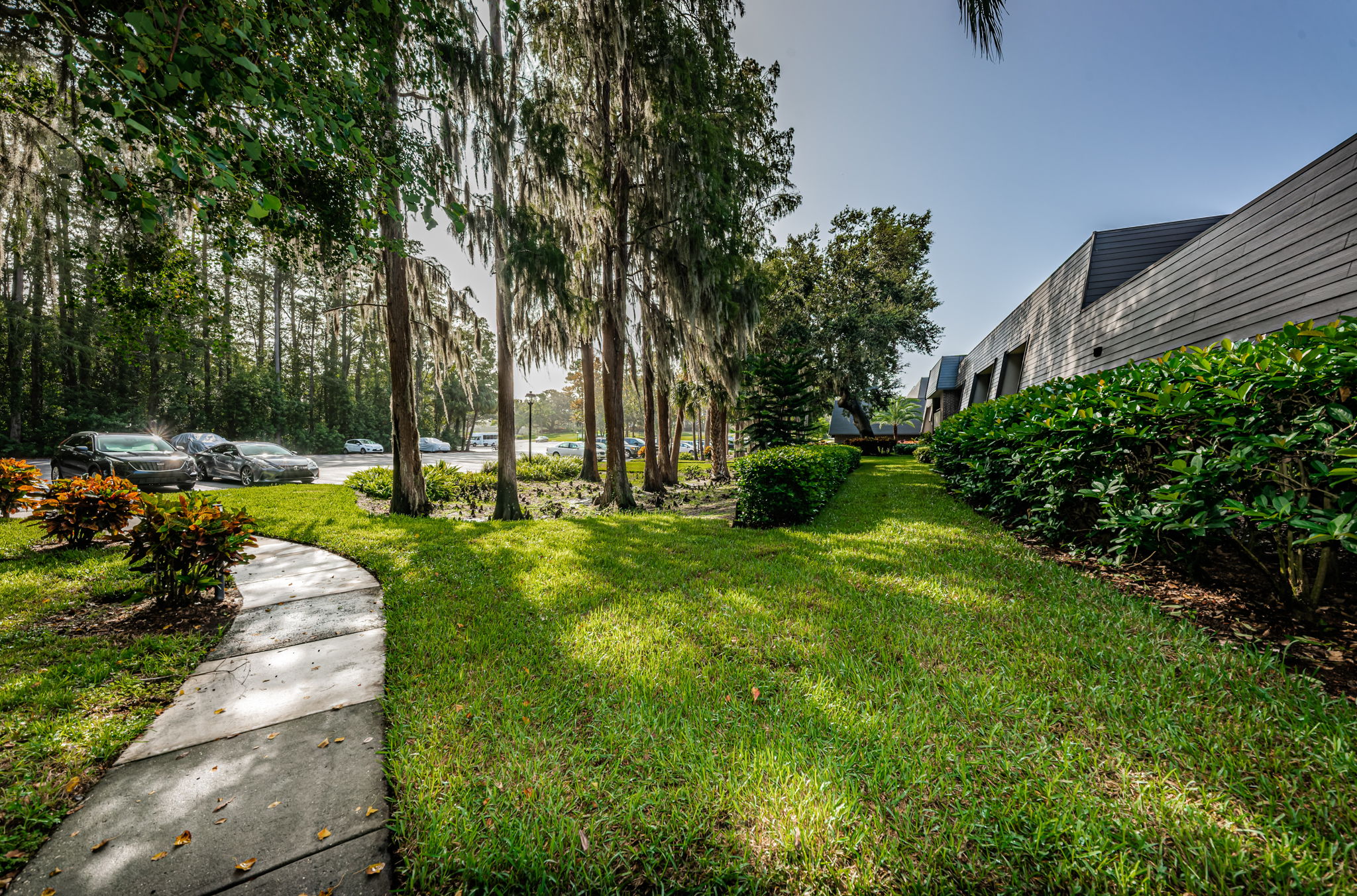 Frontyard2