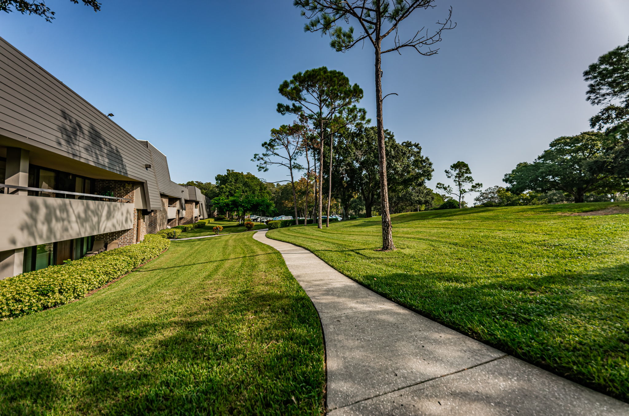 Frontyard1