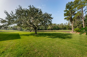Backyard11