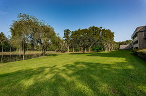 Backyard8