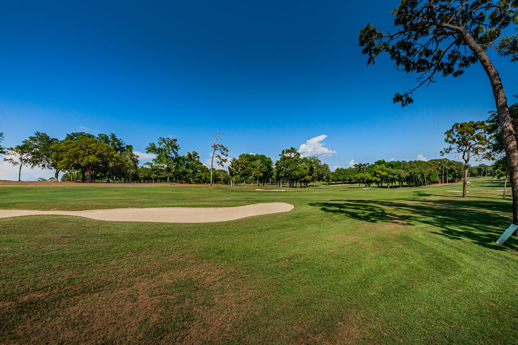 Backyard Golf Course View