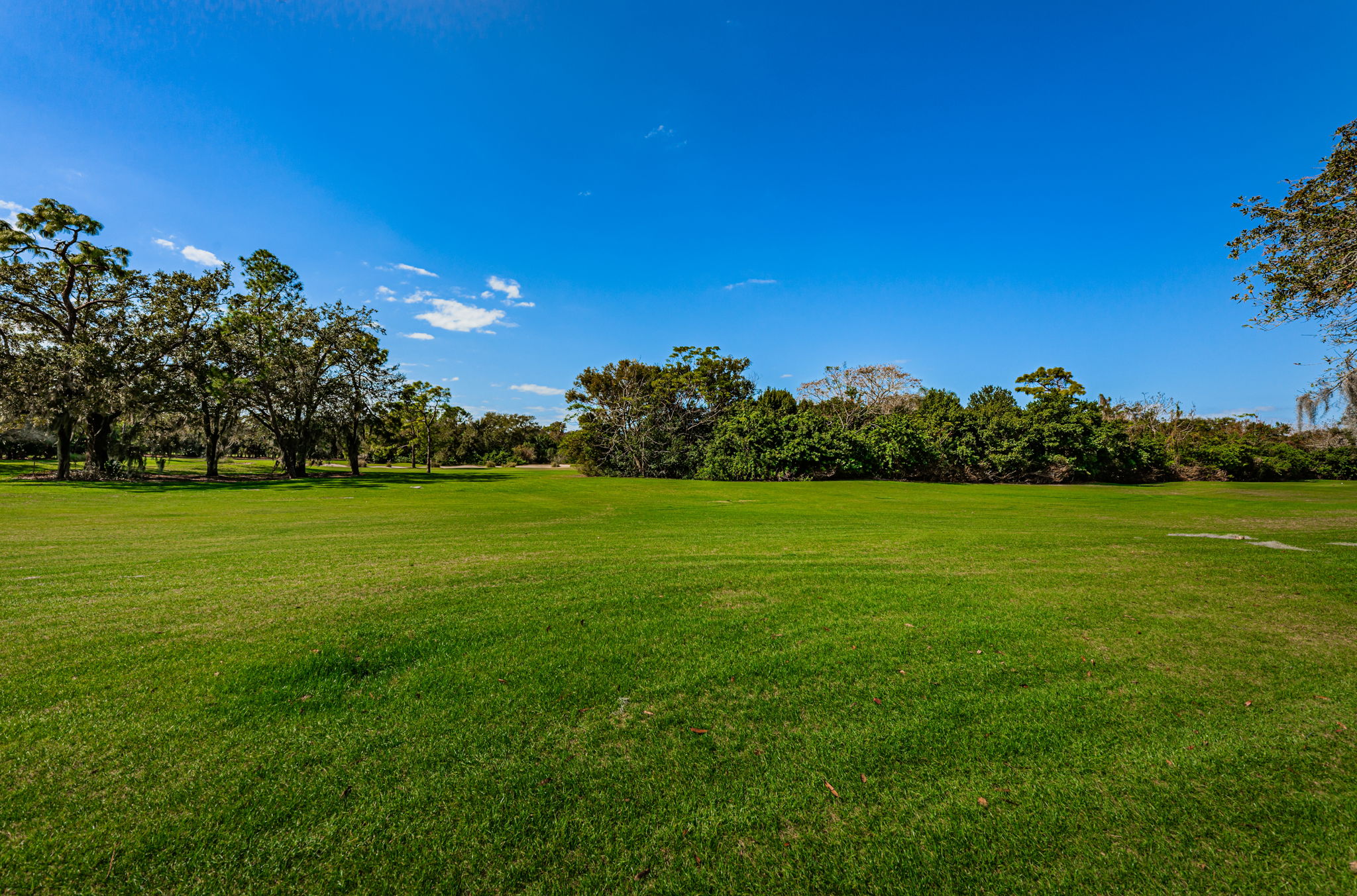 Backyard4 Golf Course View