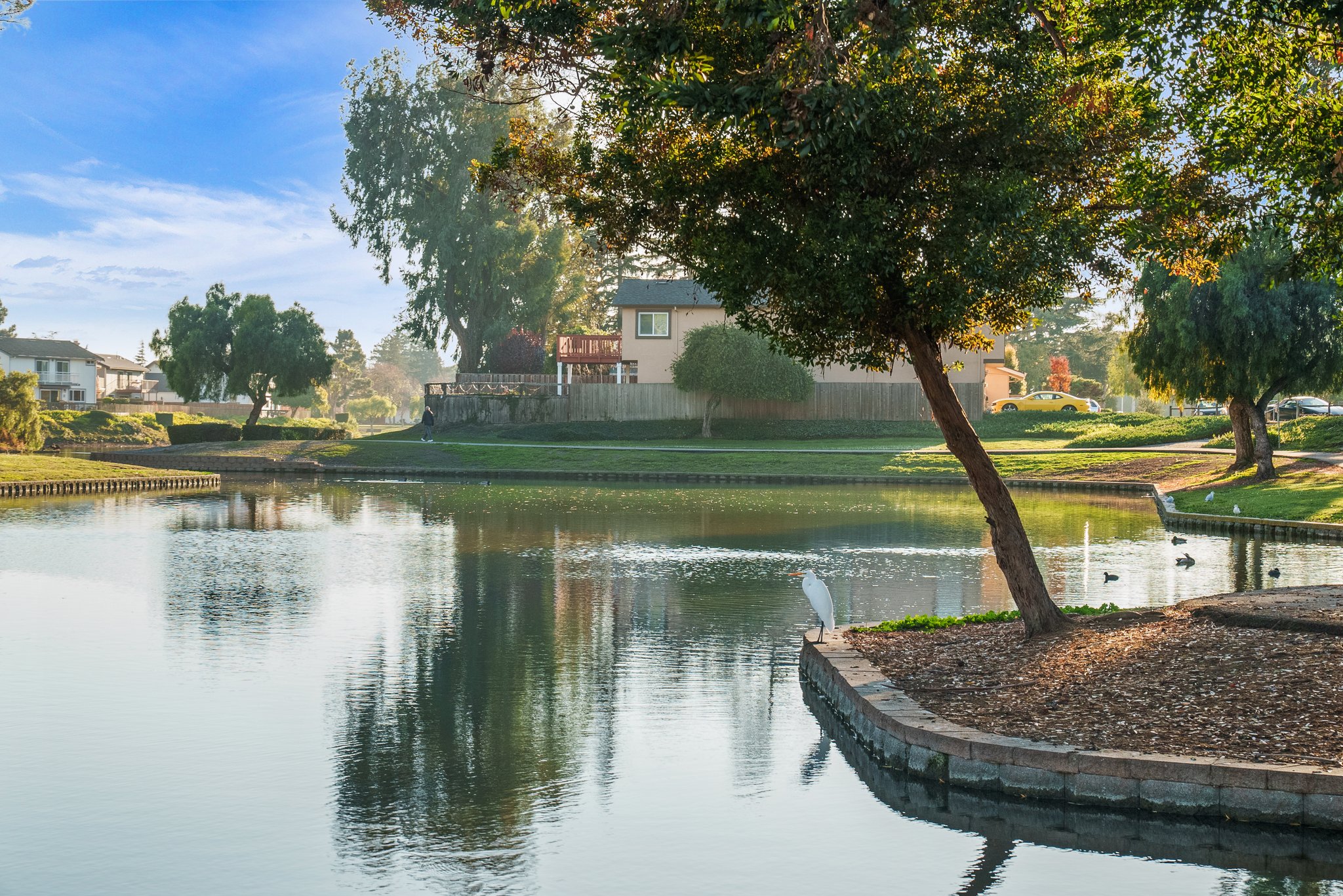 Lakeshore Park Lake