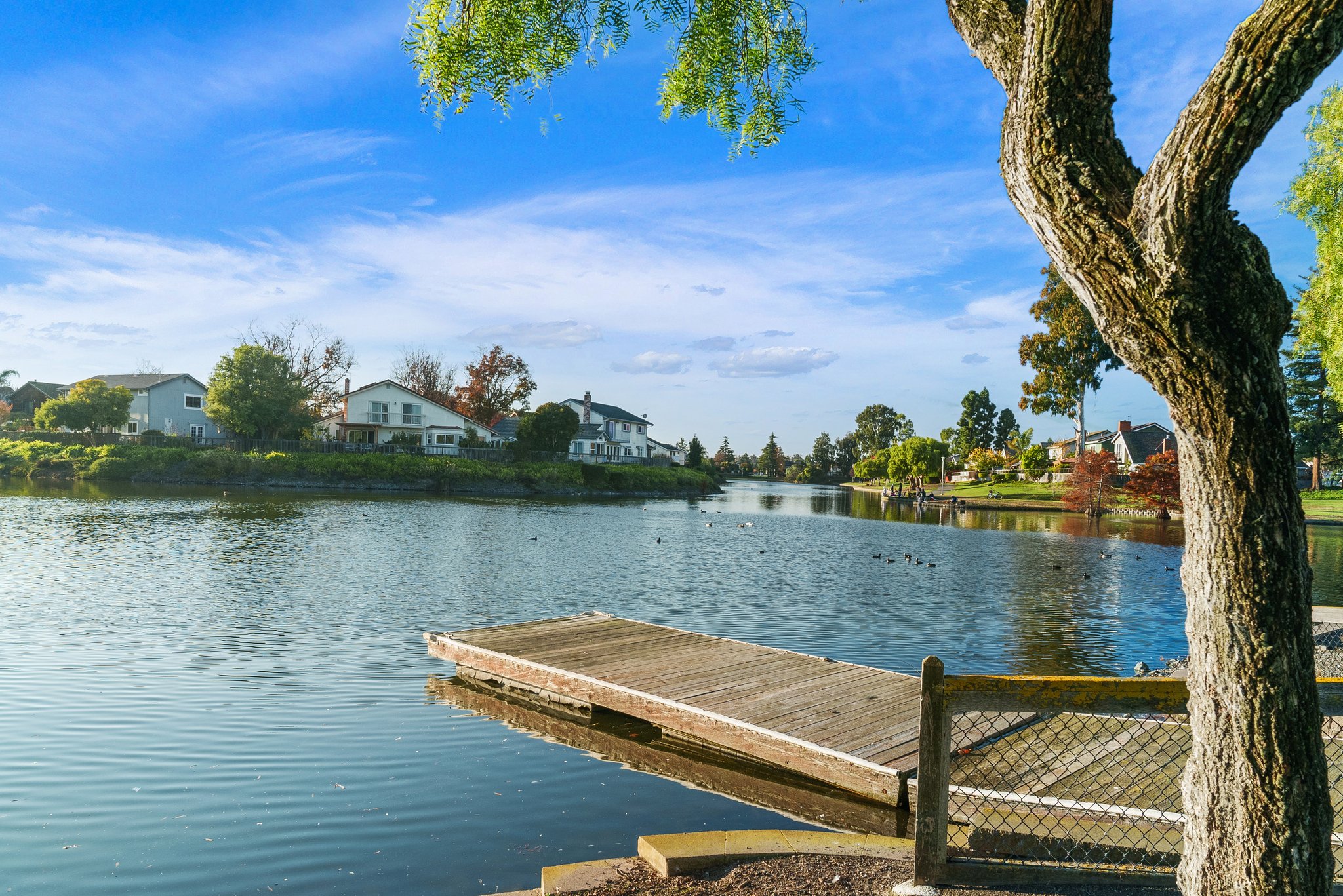 Lakeshore Park Lake