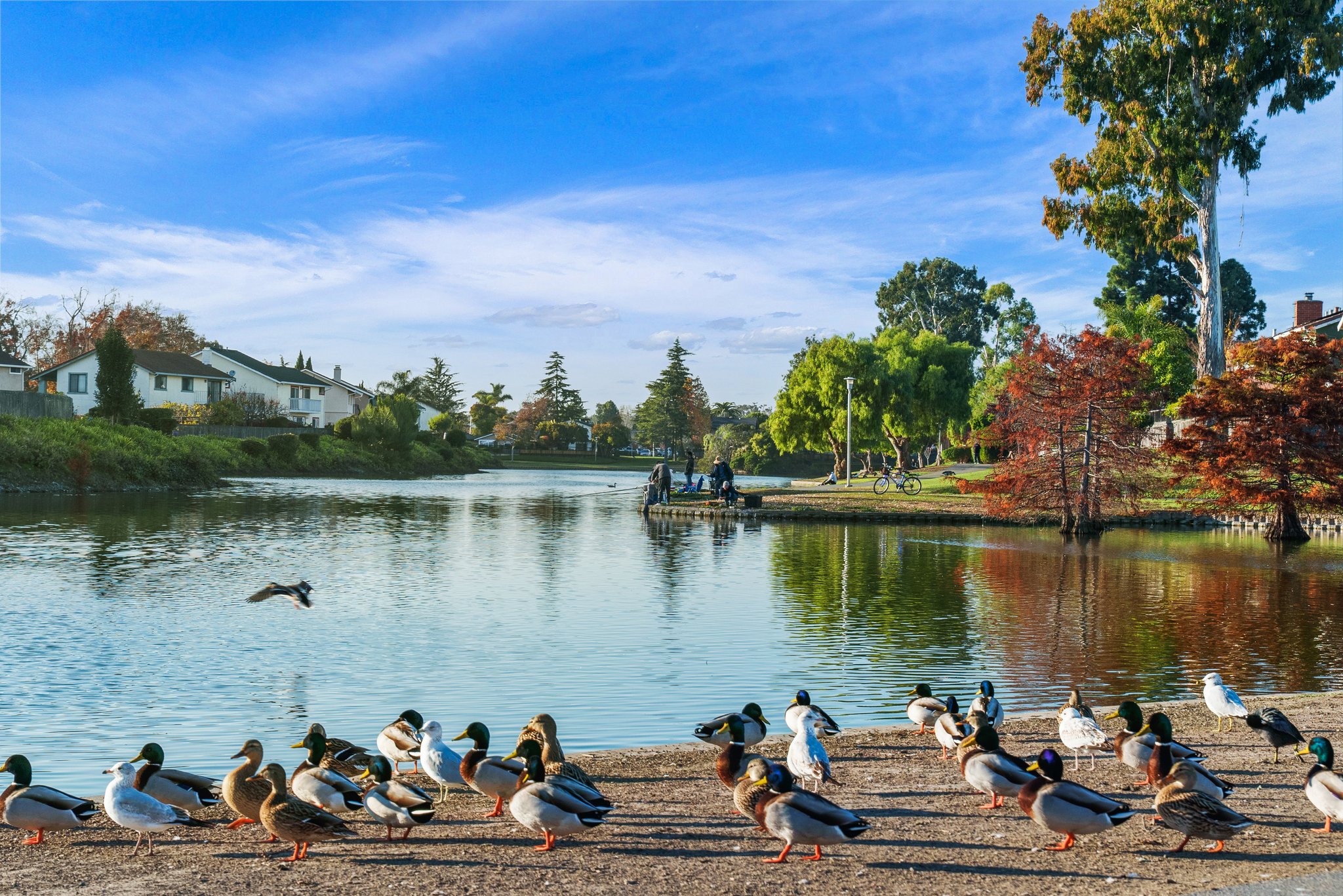 Lakeshore Park Lake