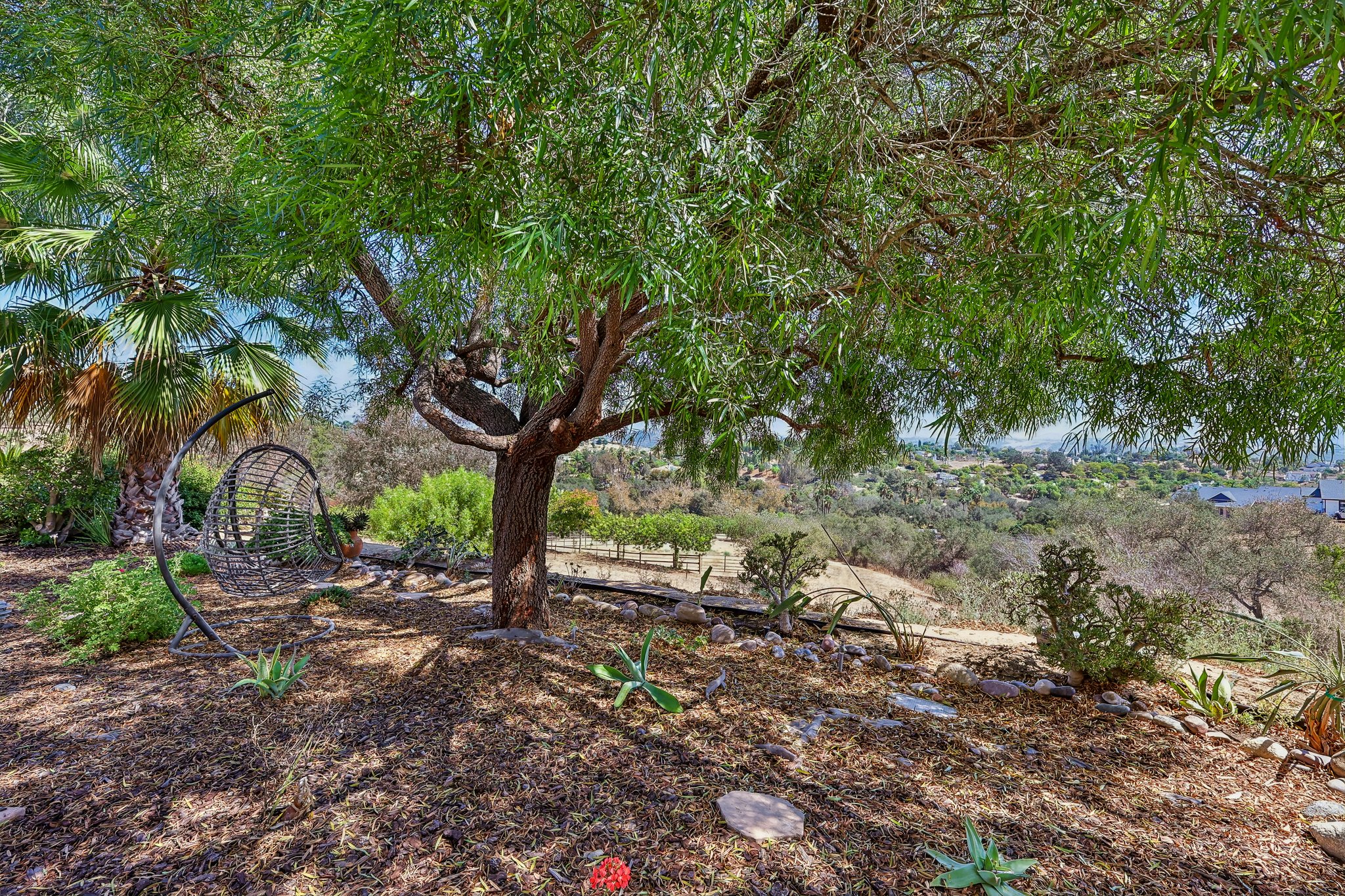 Alta Vista Dr-S1409-065.jpg