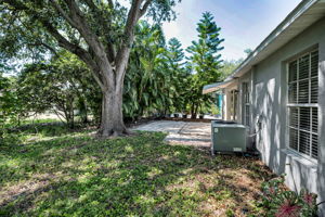 Backyard11