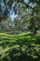 Backyard23