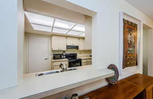 Kitchen Window 1