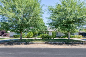  Photo 0