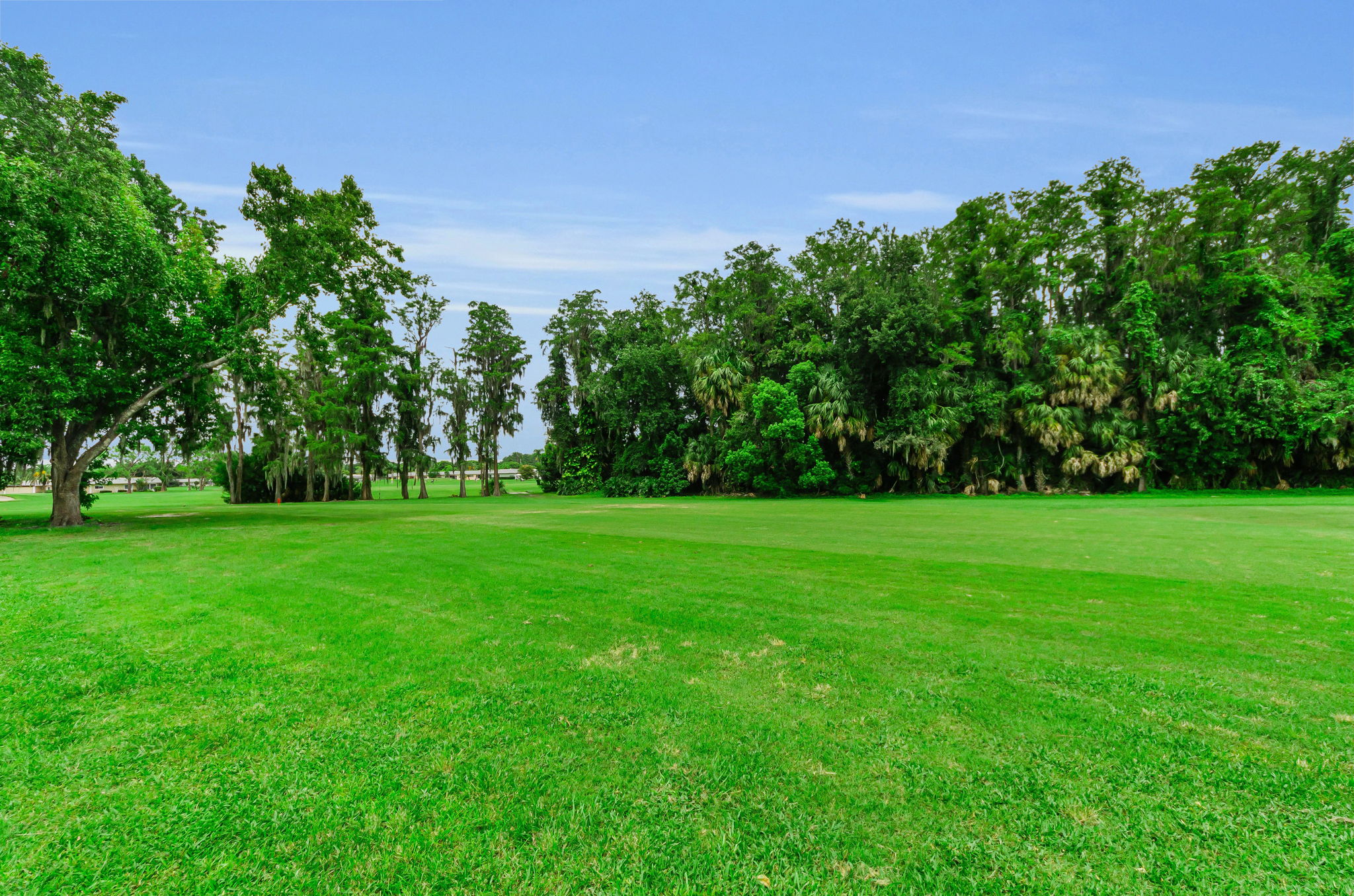 Golf Course1