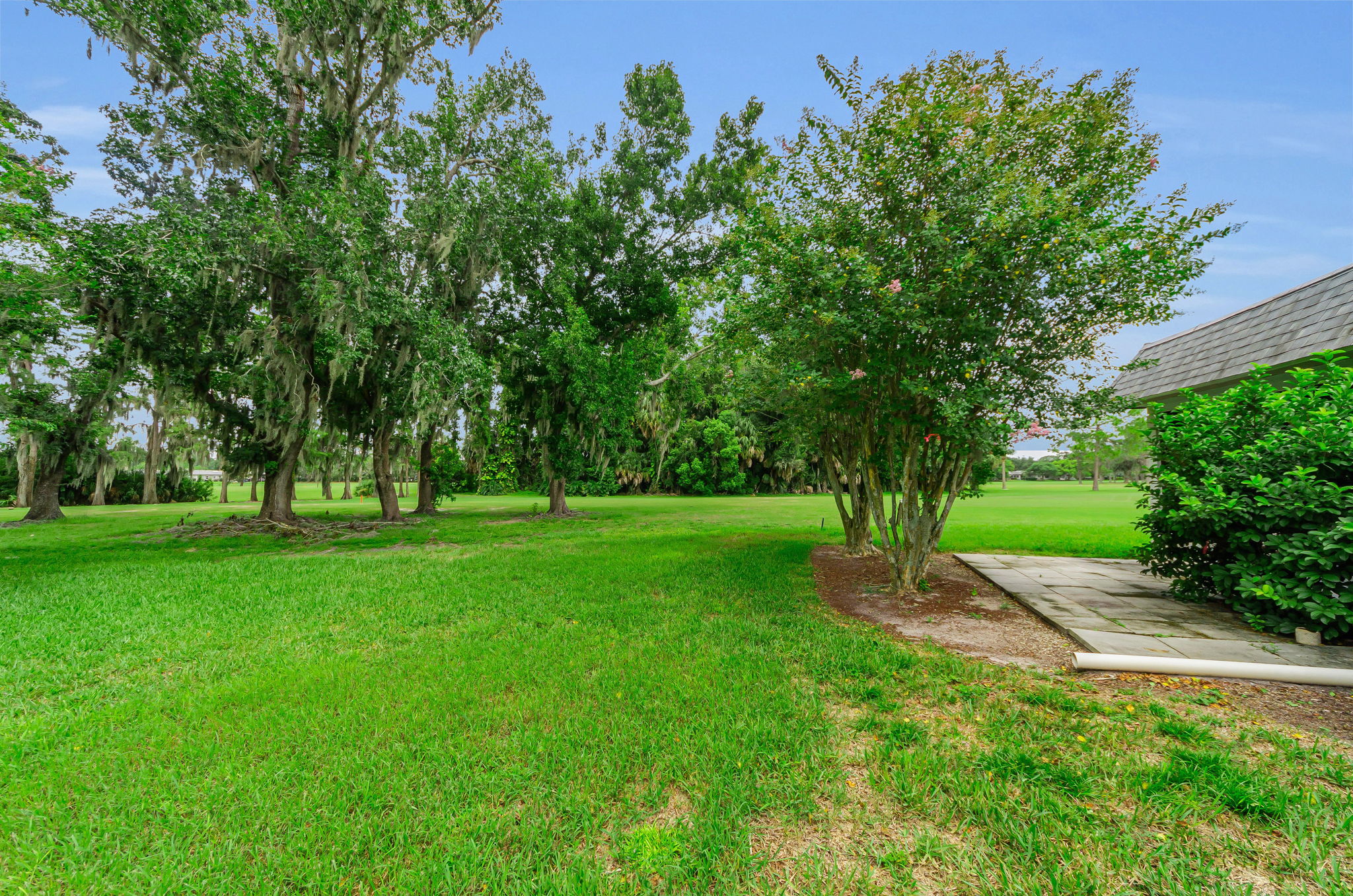 Backyard3