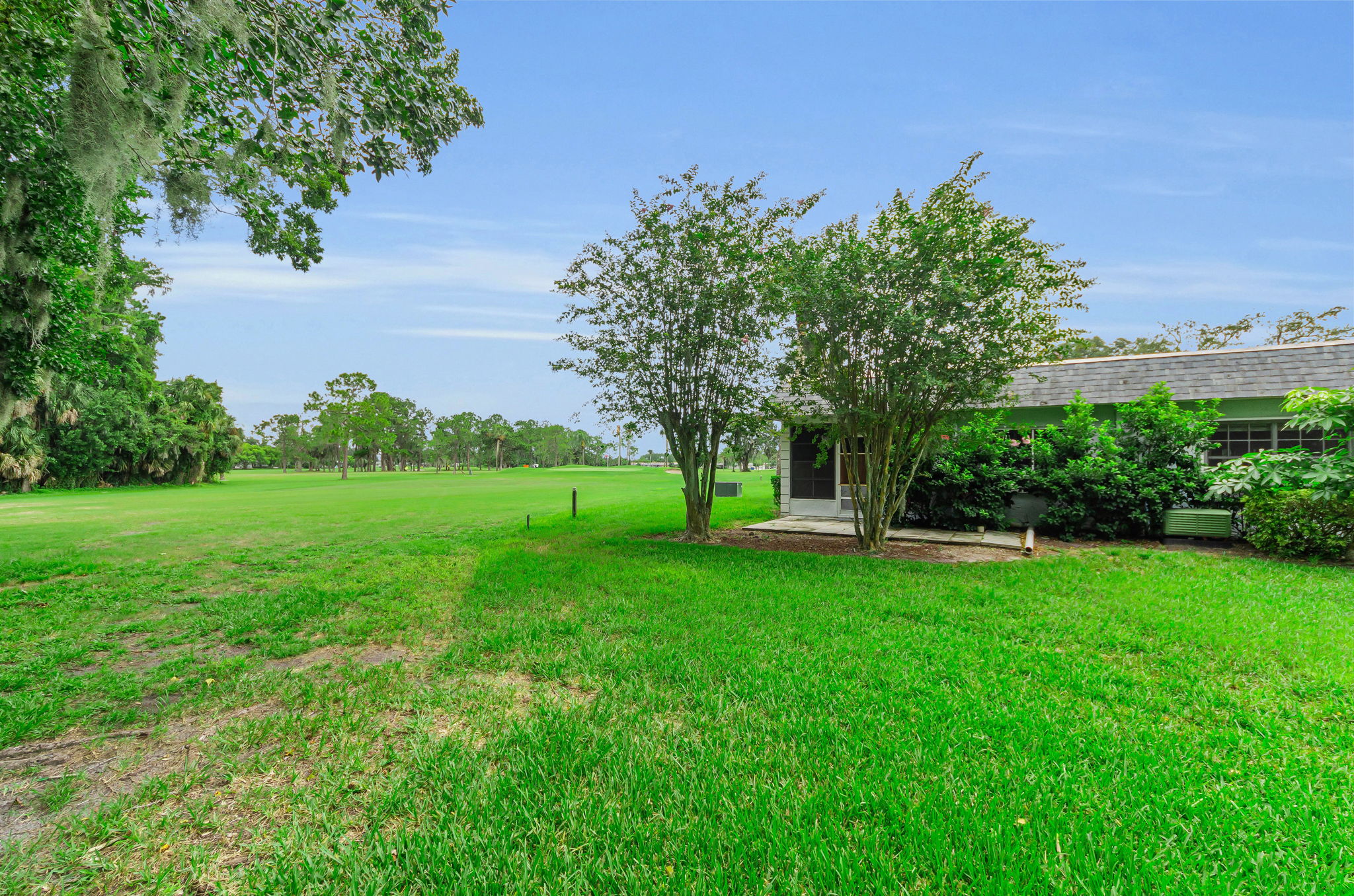 Backyard4