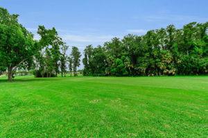 Golf Course1