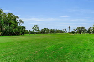 Golf Course2