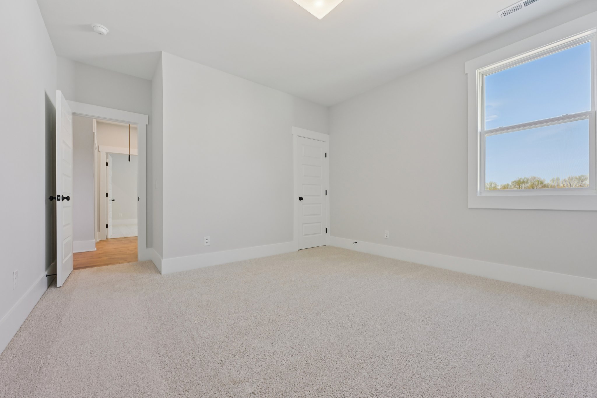 Crop Rd-S1803-041.jpg