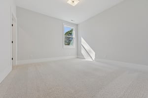 Crop Rd-S1803-046.jpg