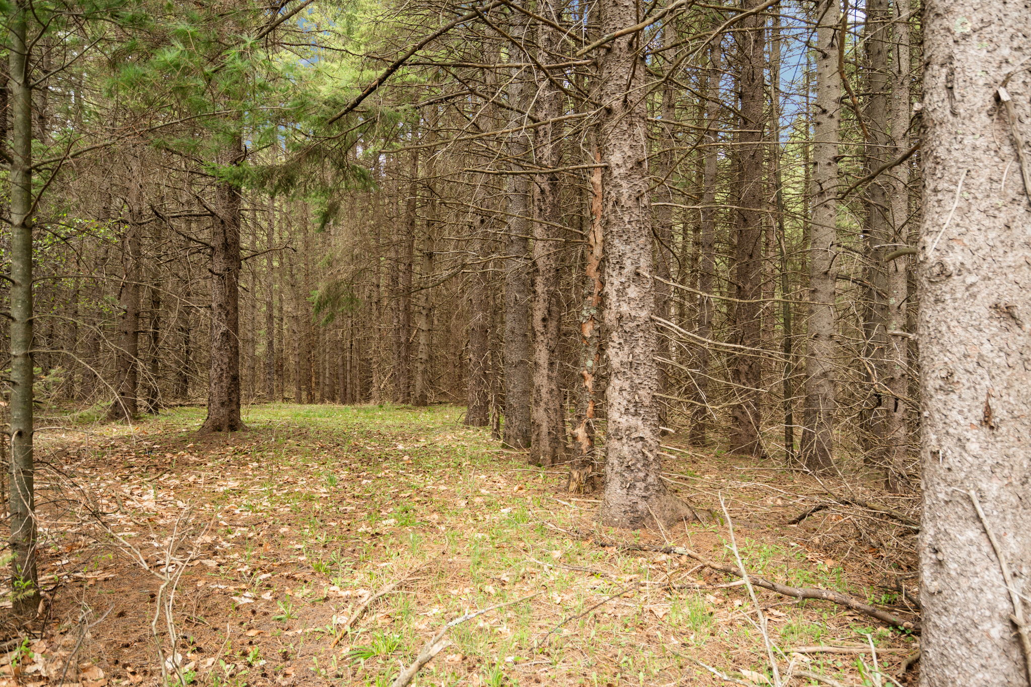  Photo 30