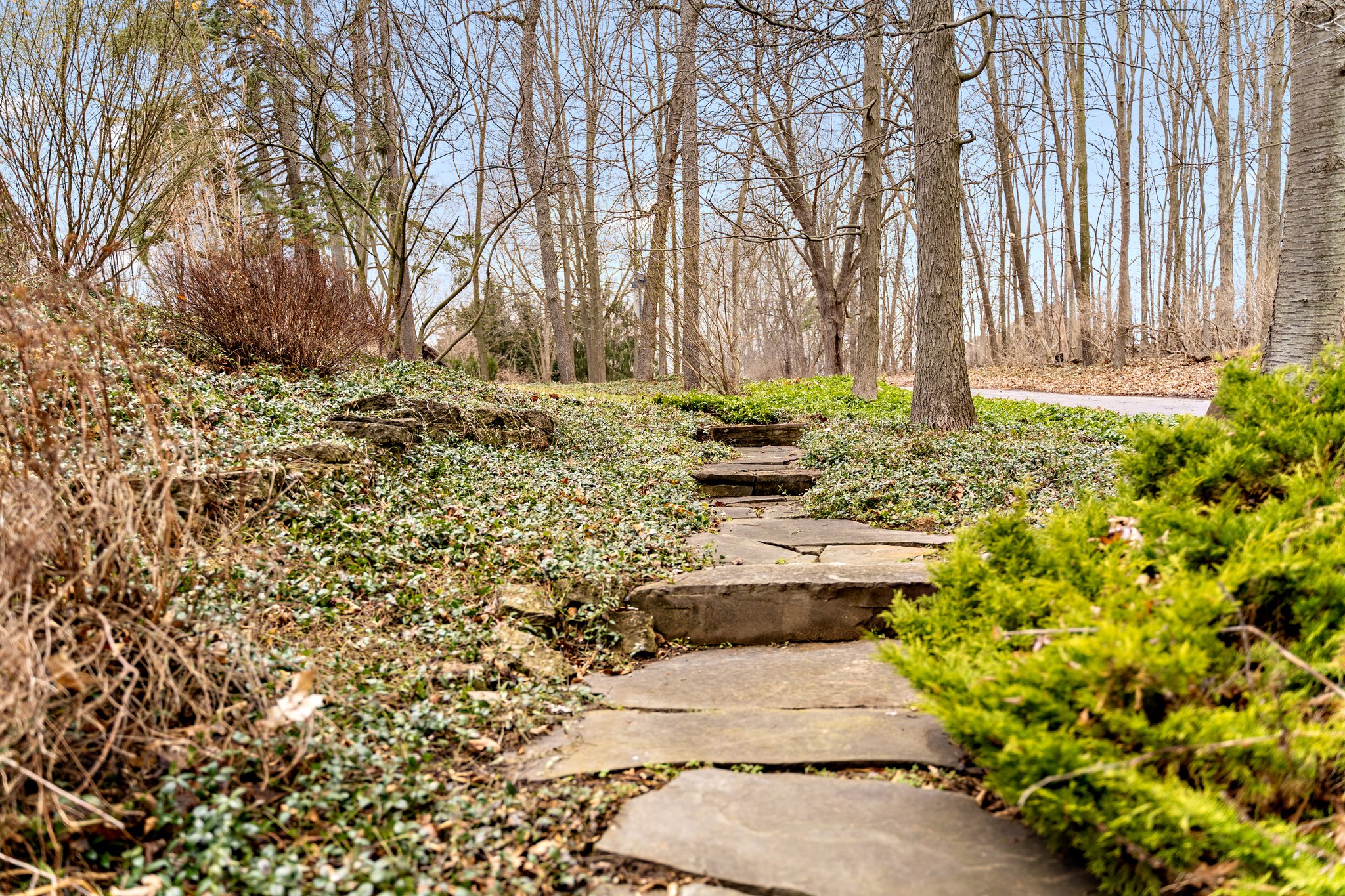 3696 Huron Ct, Ann Arbor, MI 48103, USA Photo 17